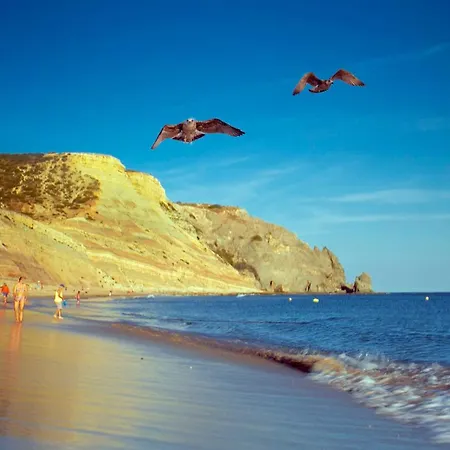 A06 - Seaview 1 Bed *