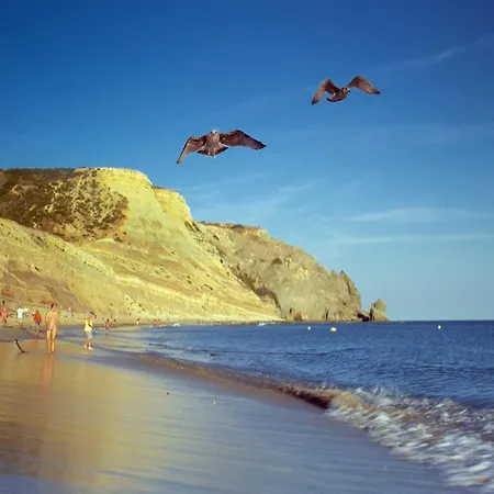 A06 - Seaview 1 Bed Apartamento