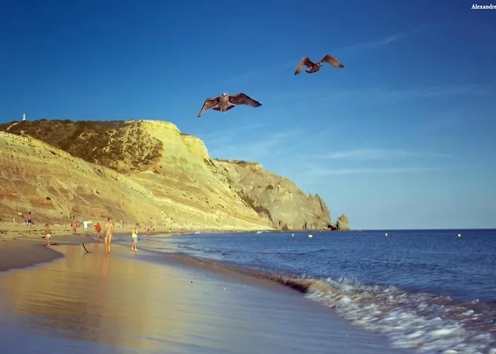 A06 - Seaview 1 Bed Daire